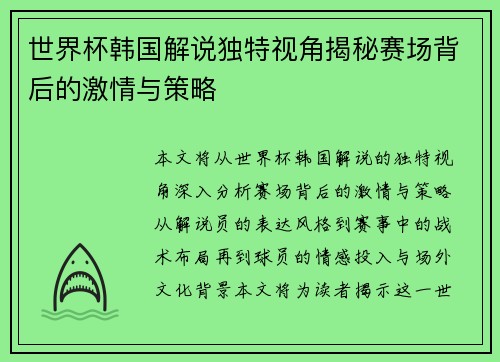 世界杯韩国解说独特视角揭秘赛场背后的激情与策略